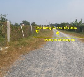 Bán Đất Củ Chi. 10.000m2. 