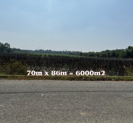 Đất  mặt tiền đường nhựa .6000m2.70m x 86m .Xã thái mỹ. Huyện Củ chi . Tp.Hcm