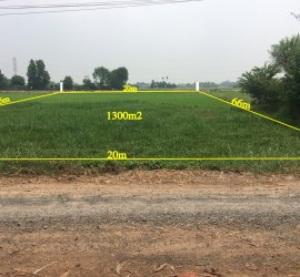  Đất Vườn  Củ Chi.Xã Phước Thạnh. 20m x 66m. 1300m2 