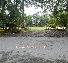 Đất Thổ Cư Củ Chi.Khu Phố 1 Thị Trấn Củ Chi.1331m2. 23m x 57m. Thổ Cư 1236m2