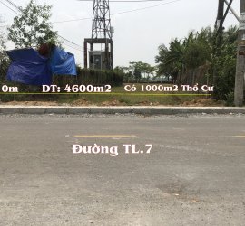 Bán Đất Mặt Tiền Đường TL.7. Củ Chi. 4600m2. Có 1000m2 Thổ Cư