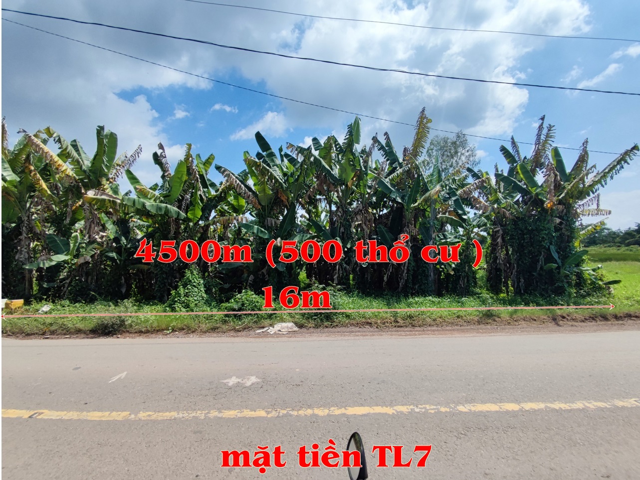 Bán đất mặt tiền tl7, 4500m2 , 500m2 thổ cư Xã Thái Mỹ huyện Củ Chi